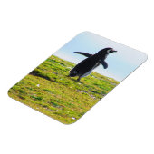 Penguin Flexible Magnet (Linke Seite)