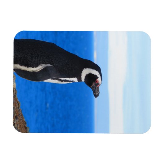 Penguin Flexible Magnet (Horizontal)