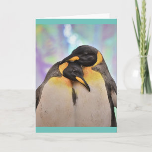 PENGUIN Fotografy Greeting Card Karte