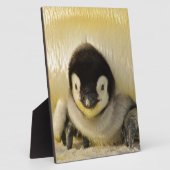 Penguin Fotoplatte (Seite)