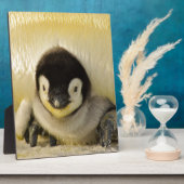 Penguin Fotoplatte (Seite)