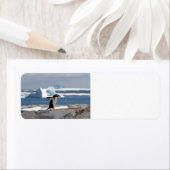 Penguin in front of an ice arch (Insitu)