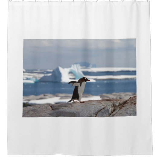 Penguin in front of an ice arch duschvorhang (Vorderseite)