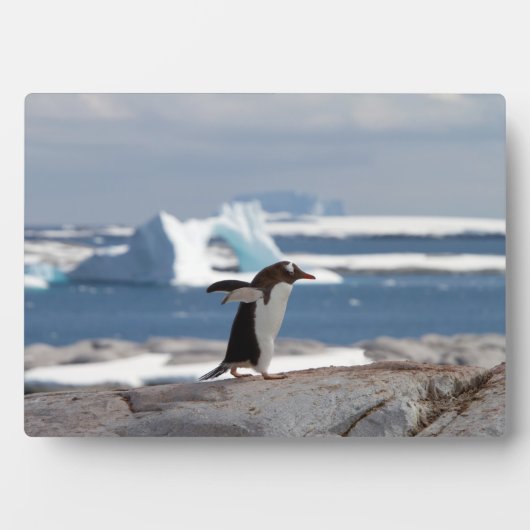Penguin in front of an ice arch fotoplatte (Vorderseite)