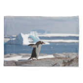 Penguin in front of an ice arch kissenbezug (Rückseite)