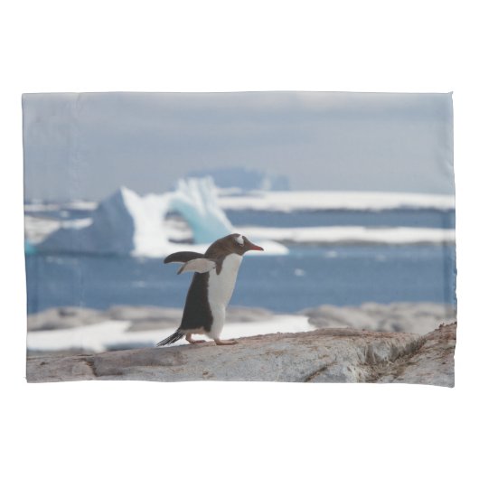 Penguin in front of an ice arch kissenbezug (Vorderseite)