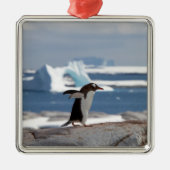 Penguin in front of an ice arch ornament aus metall (Vorne)