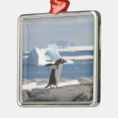Penguin in front of an ice arch ornament aus metall (Links)