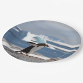 Penguin in front of an ice arch pappteller (Schrägansicht)