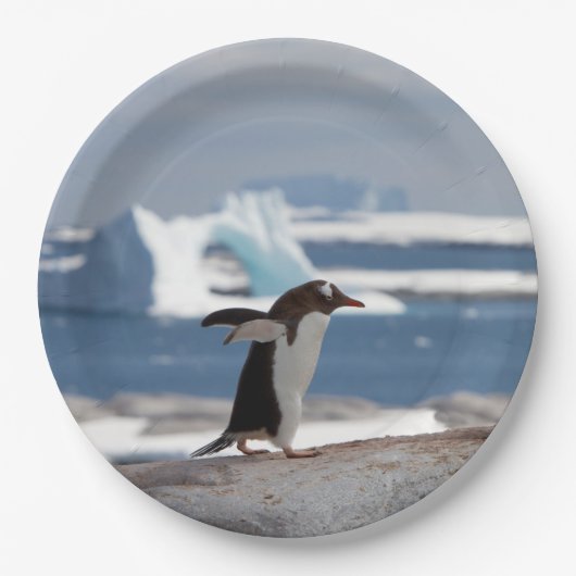 Penguin in front of an ice arch pappteller (Vorderseite)