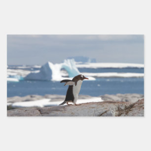 Penguin in front of an ice arch rechteckiger aufkleber