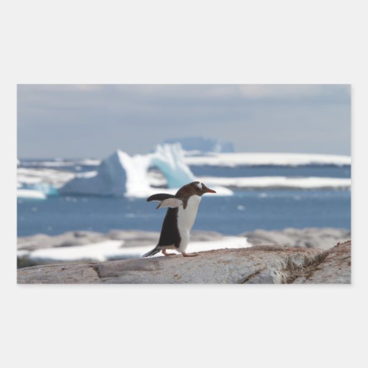 Penguin in front of an ice arch rechteckiger aufkleber (Vorderseite)