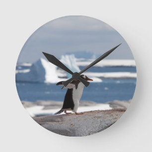 Penguin in front of an ice arch runde wanduhr