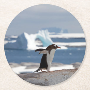 Penguin in front of an ice arch runder pappuntersetzer