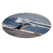 Penguin in front of an ice arch schneidebrett (Ecke)