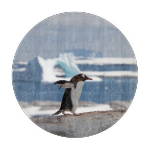 Penguin in front of an ice arch schneidebrett