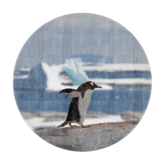 Penguin in front of an ice arch schneidebrett (Vorderseite)