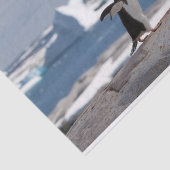 Penguin in front of an ice arch seidenpapier (Ausschnitt)