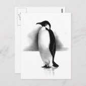 PENGUIN IN PENCIL: REALISMUS ART POSTKARTE (Vorne/Hinten)