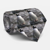 Penguin-Krawatte Krawatte (Gerollt)