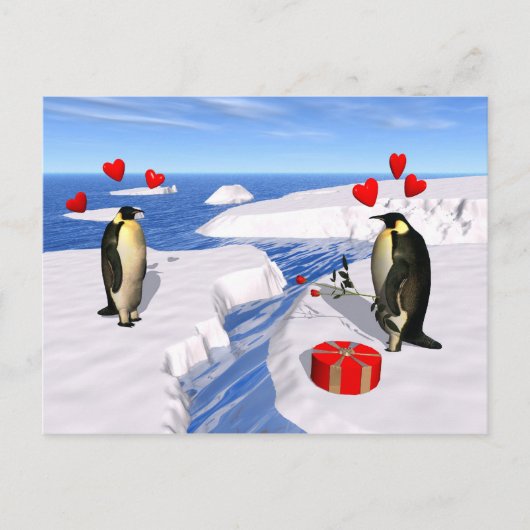 Penguin Lovers Postkarte (Vorderseite)
