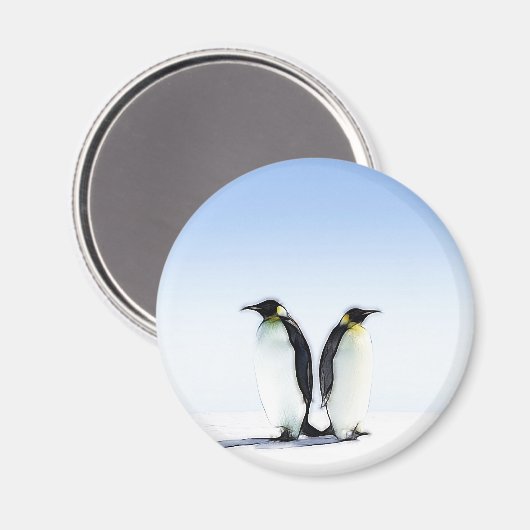 PENGUIN MAGNET (Vorderseite/Rückseite)