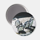 Penguin Magnet (Vorderseite/Rückseite)
