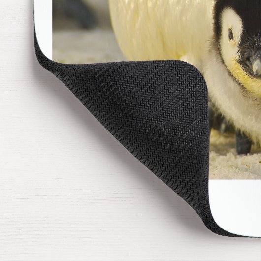 Penguin Mousepad (Ecke)