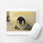 Penguin Mousepad (Mit Mouse)