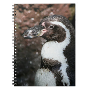 Penguin-Notebook Notizblock
