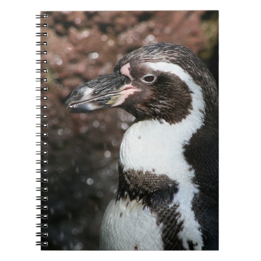 Penguin-Notebook Notizblock (Vorderseite)