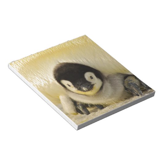 Penguin Notizblock (angewinkelt)