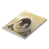 Penguin Notizblock (Rotiert)