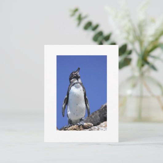 Penguin on Blue Postkarte (Stehend Vorderseite)