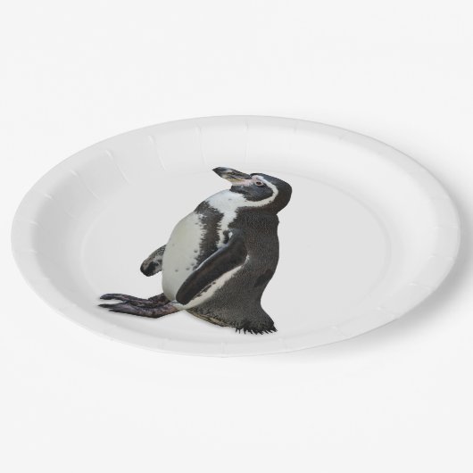 Penguin Pappteller (Schrägansicht)
