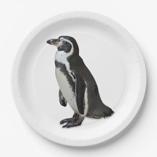 Penguin Pappteller (Vorderseite)