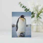 Penguin Parent & Chick Postkarte (Stehend Vorderseite)