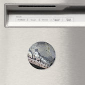 Penguin Perch Magnet (In Situ (Geschirrspüler))