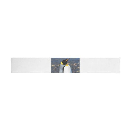 Penguin Portrait (Person)