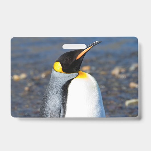 Penguin Portrait Ausweis (Vorderseite)