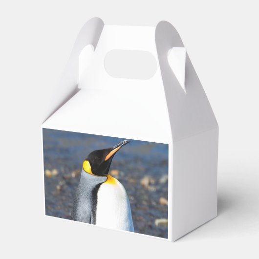 Penguin Portrait Geschenkschachtel (Rückseite)