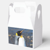 Penguin Portrait Geschenkschachtel (Geöffnet)