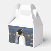 Penguin Portrait Geschenkschachtel (Vorderseite)