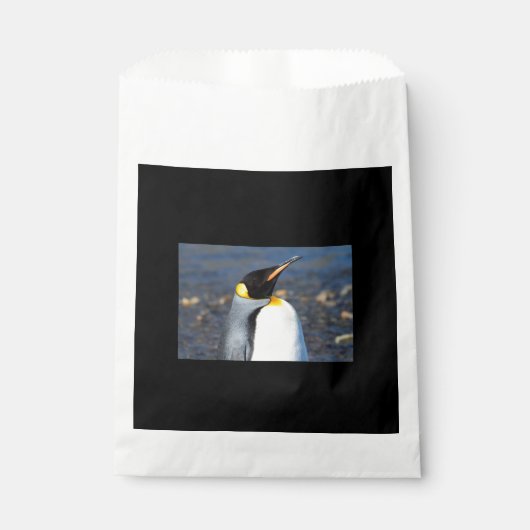 Penguin Portrait Geschenktütchen (Vorderseite)