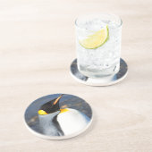 Penguin Portrait Getränkeuntersetzer (Seite)