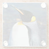 Penguin Portrait Glasuntersetzer (Rückseite)
