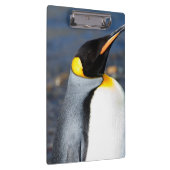Penguin Portrait Klemmbrett (Rechts)