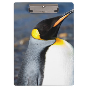 Penguin Portrait Klemmbrett