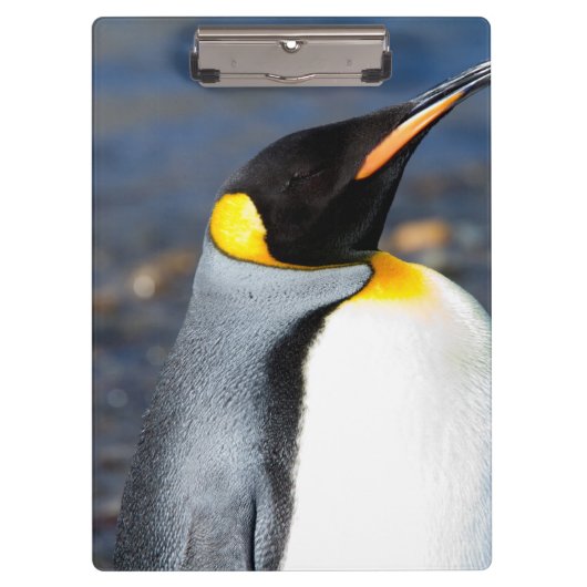 Penguin Portrait Klemmbrett (Vorderseite)