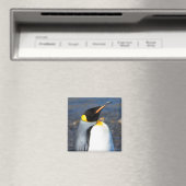 Penguin Portrait Magnet (In Situ (Geschirrspüler))